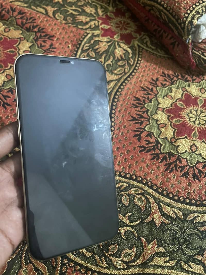 Apple iPhone 12 Pro Max 1