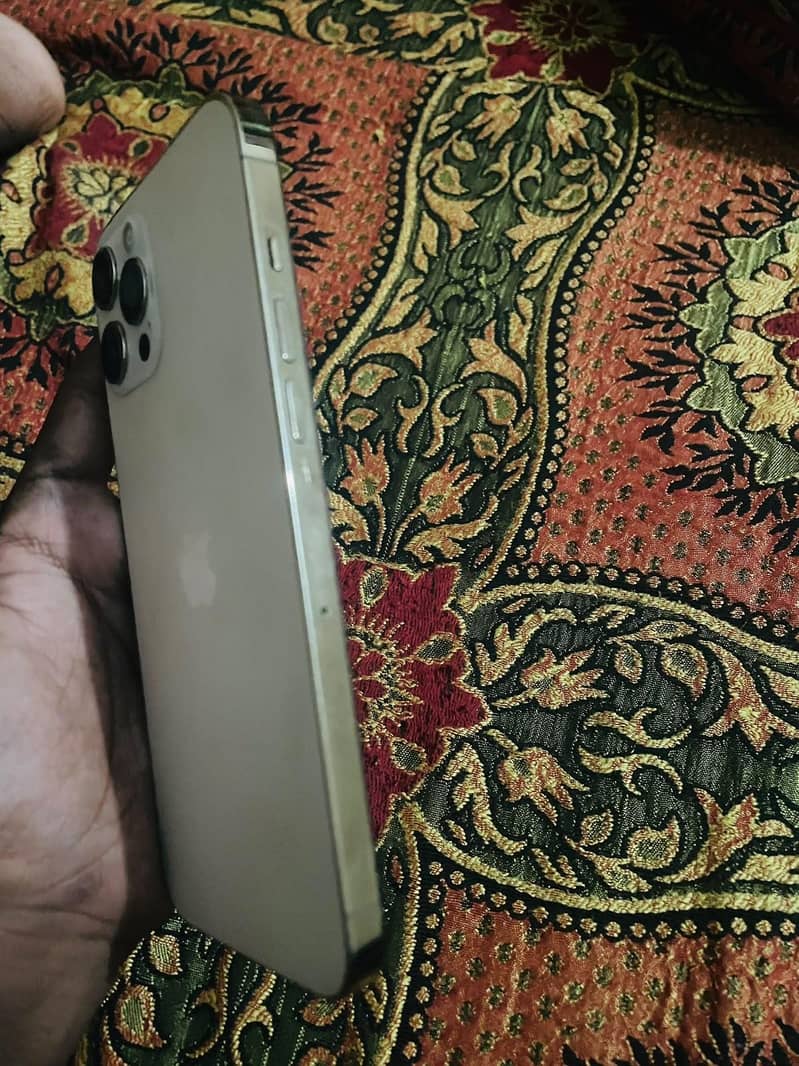 Apple iPhone 12 Pro Max 2