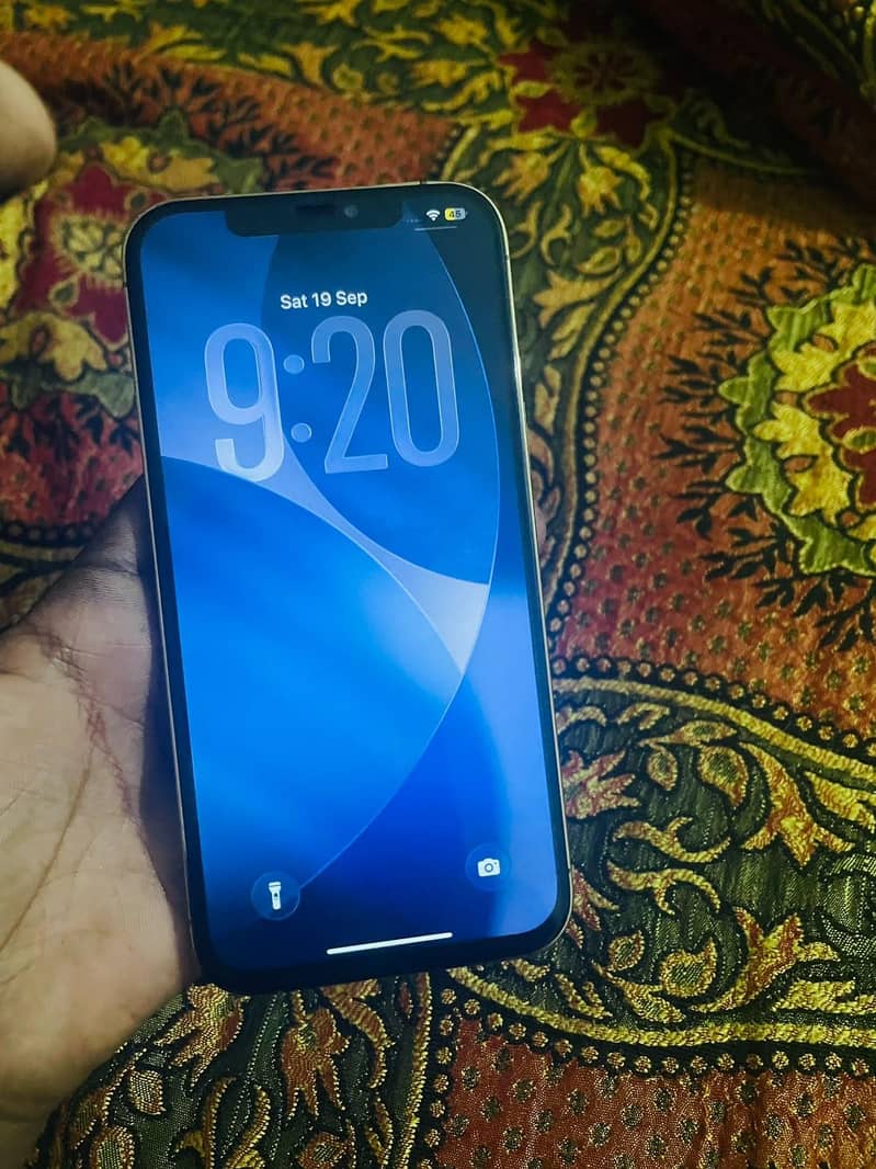 Apple iPhone 12 Pro Max 3