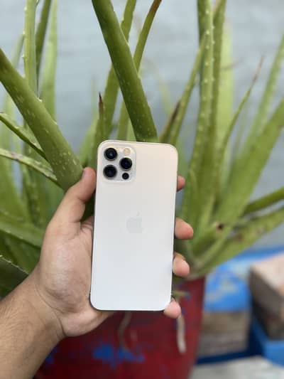 Apple iPhone 12 Pro PTA