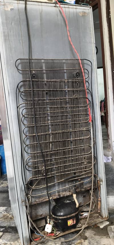 1 filrige medium size for sale 03014301568