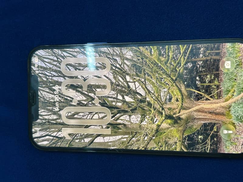 Apple iPhone 12 Pro Max 2