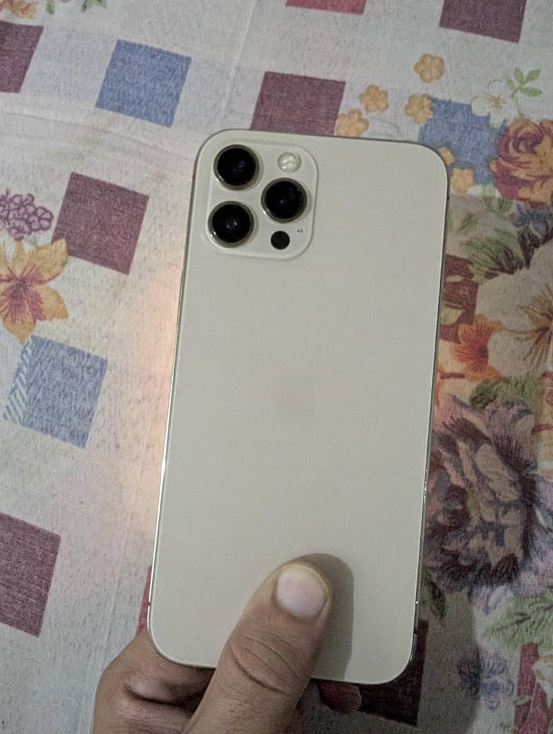 Apple iPhone 12 Pro Max 2