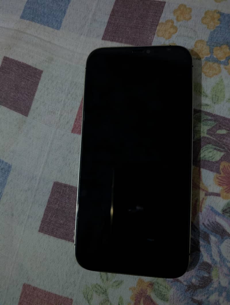 Apple iPhone 12 Pro Max 3