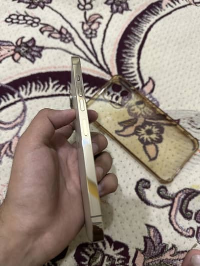 Apple iPhone 13 Pro Max (jv)