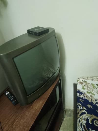 Panasonic TV