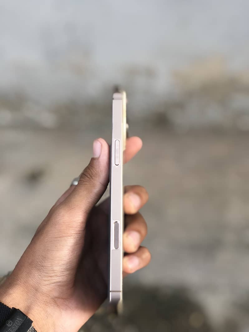 Apple iPhone 16 Pro Max 2