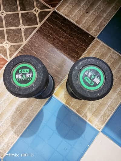Beast Fitness 4KG Dumbbells Pair – Used, Good Condition