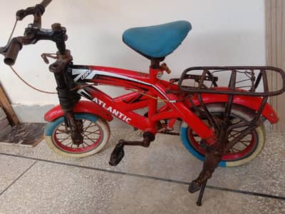 baby cycle