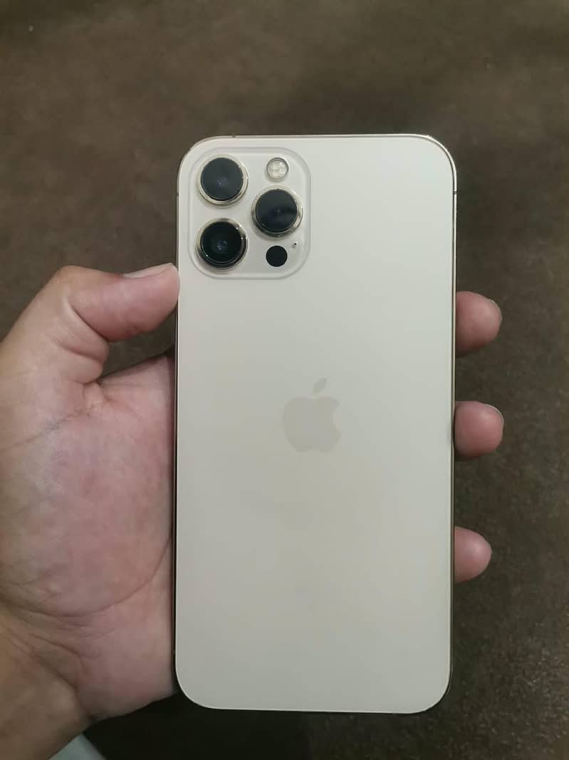Apple iPhone 12 Pro Max 0