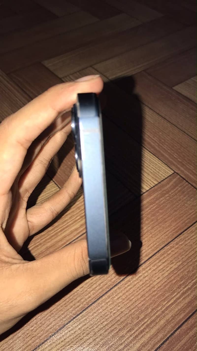 Apple iPhone 13 0