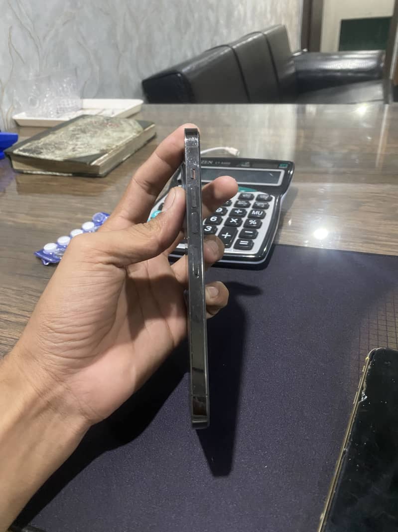 Apple iPhone 13 Pro Max 2