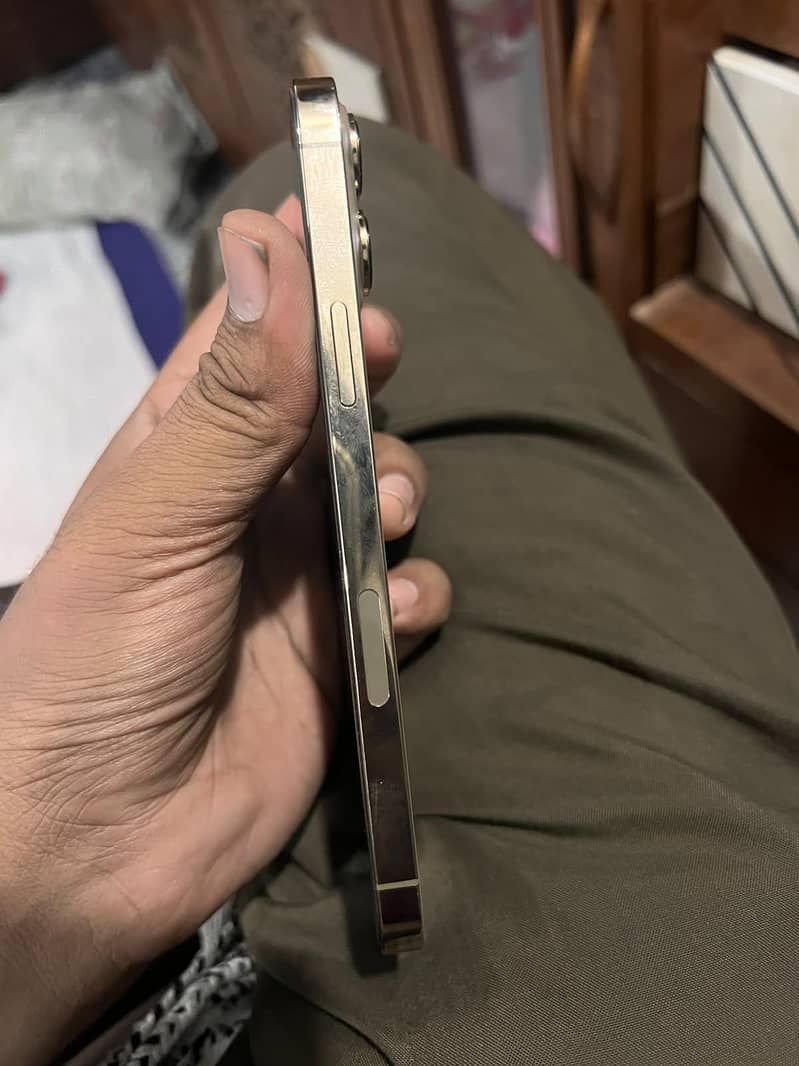 Apple iPhone 13 Pro Max 1