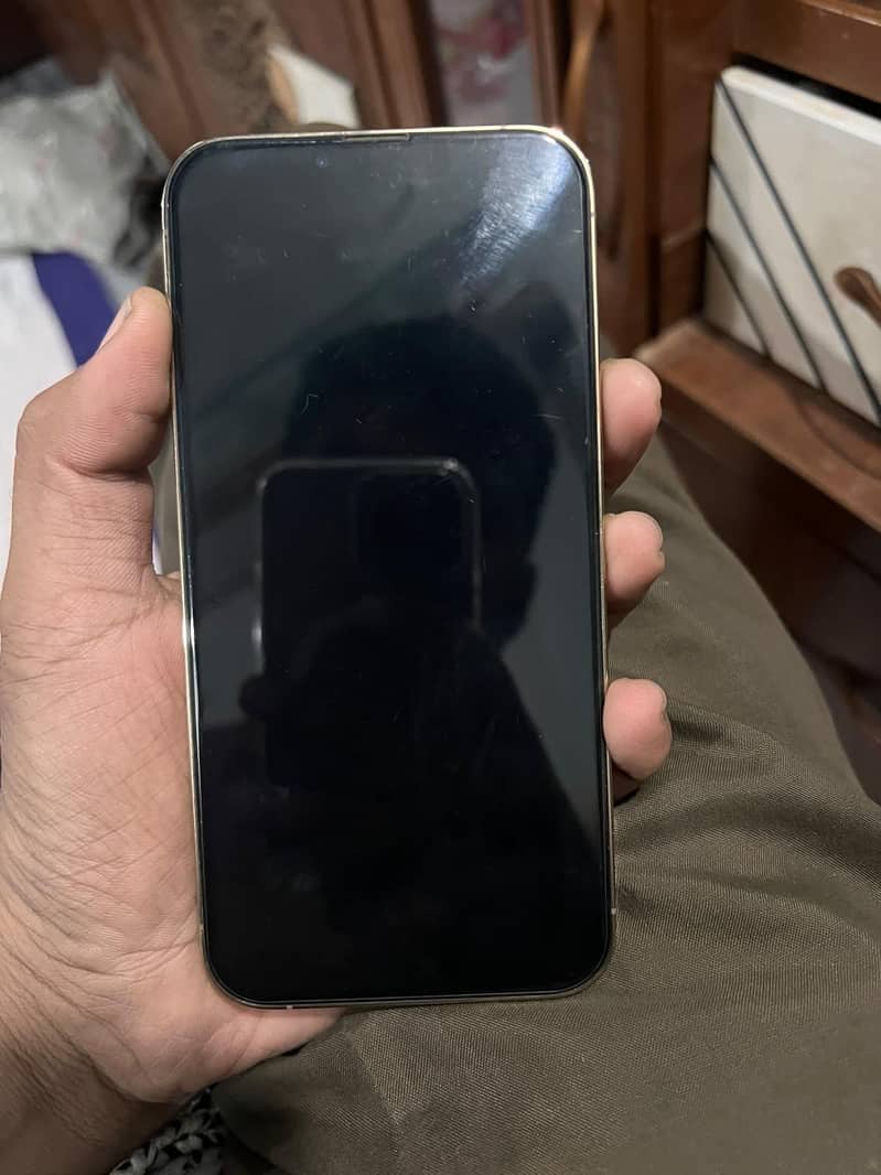 Apple iPhone 13 Pro Max 2