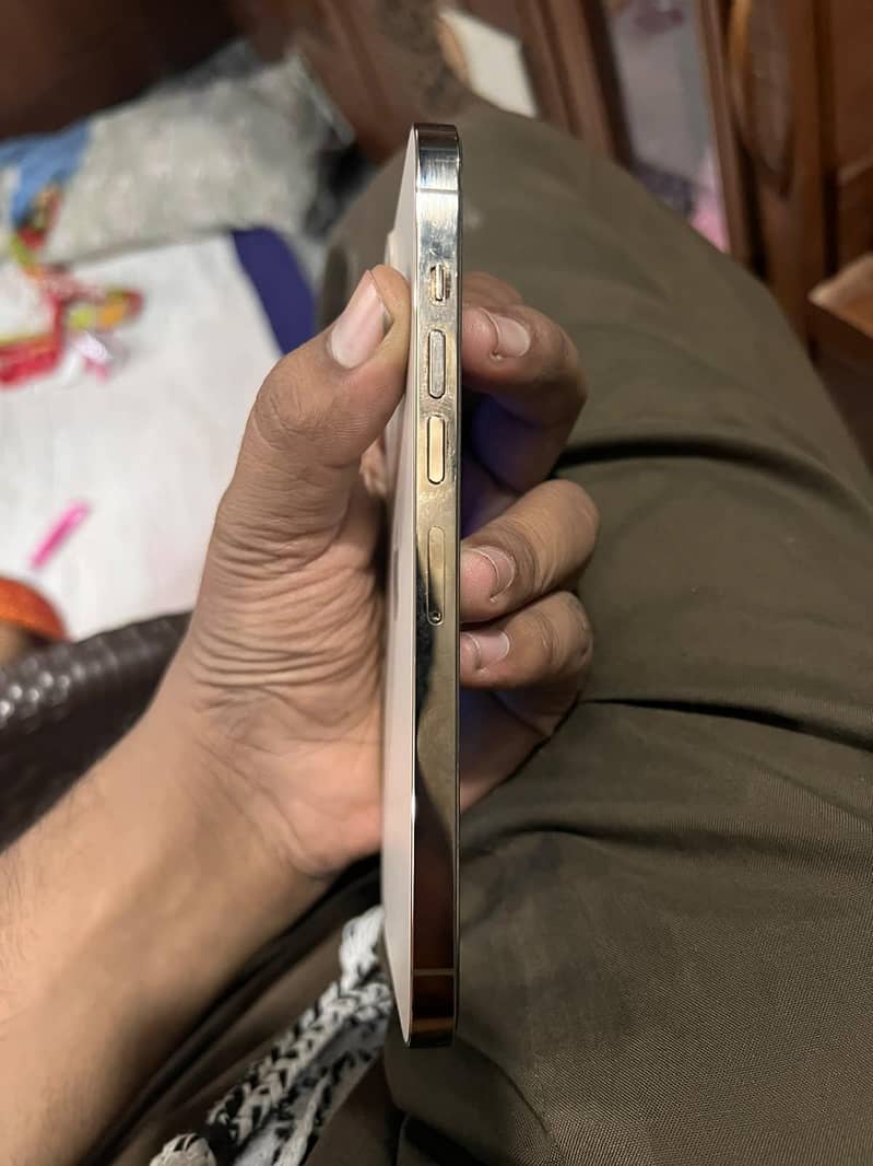 Apple iPhone 13 Pro Max 4