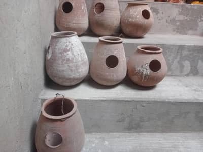 Birds Matka and others Accessories
