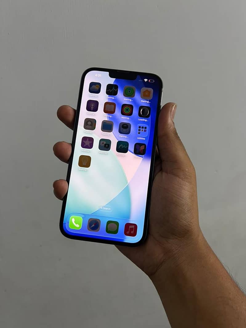 Apple iPhone 13 Pro Max 0