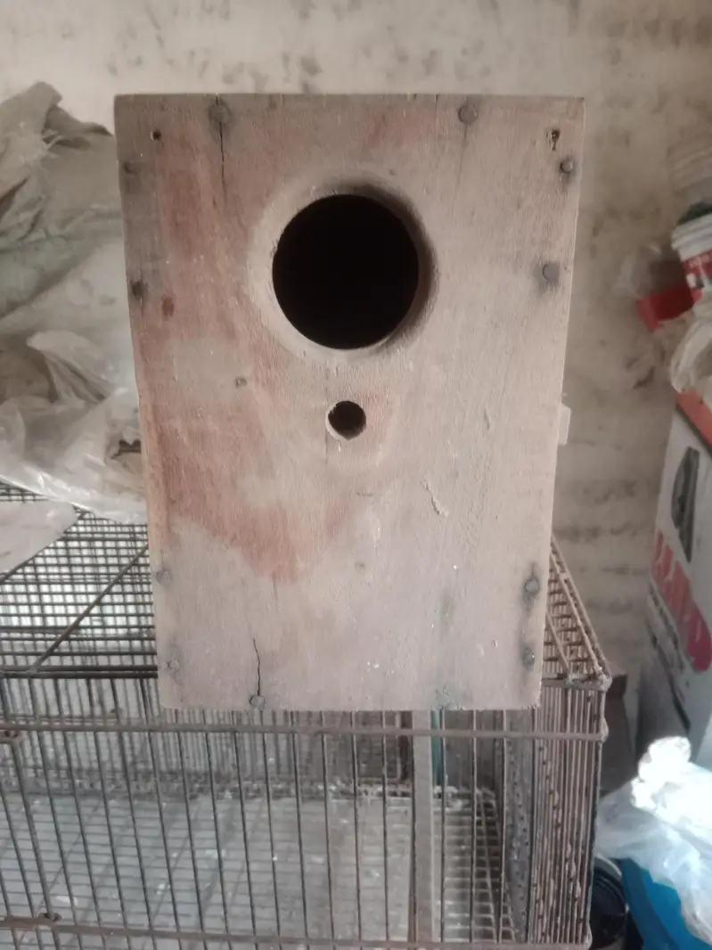 wood box — photo 3
