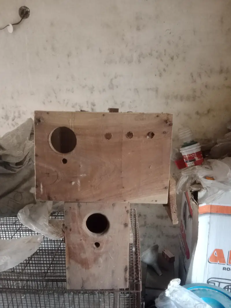 wood box — photo 4