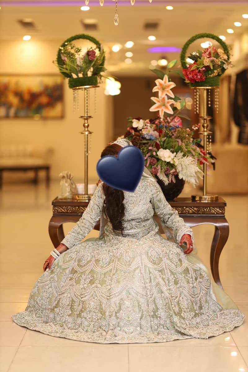 Walima MAxi 1