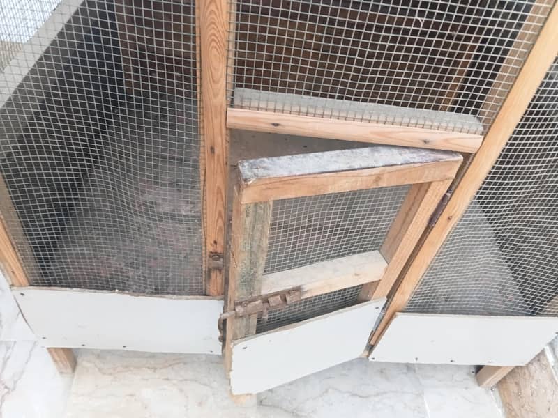 Hens cage 4