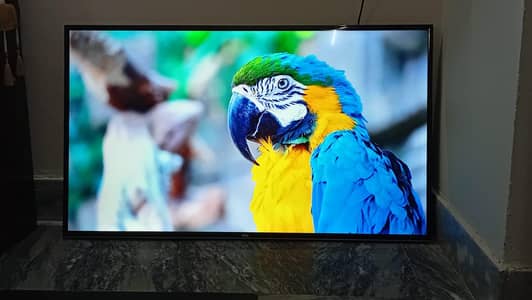 TCL 55" LET in exillent condition