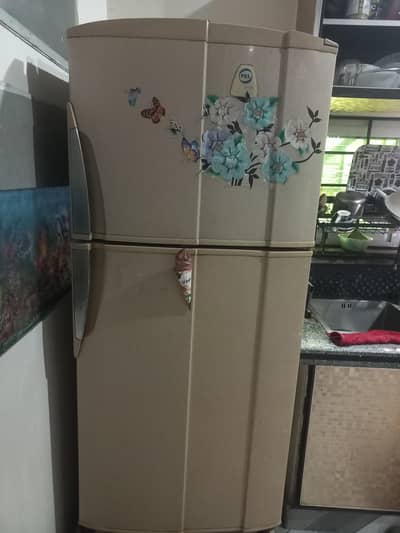 pel refrigerator