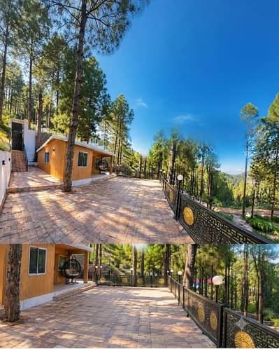 House For Rent Murree