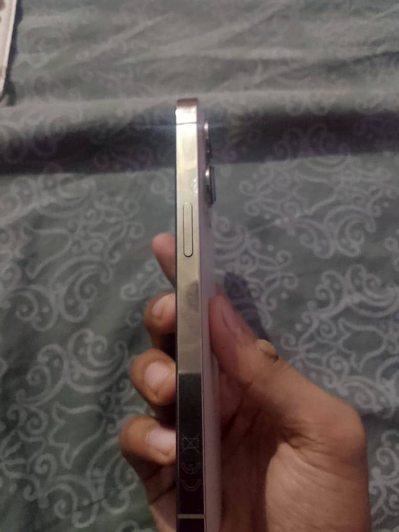 Apple iPhone 13 Pro 6