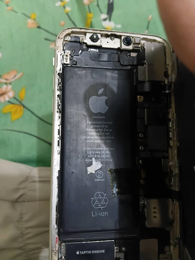 Apple iPhone 11 2