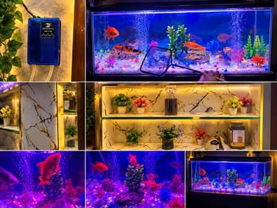 Aquarium for sale 3by3fut