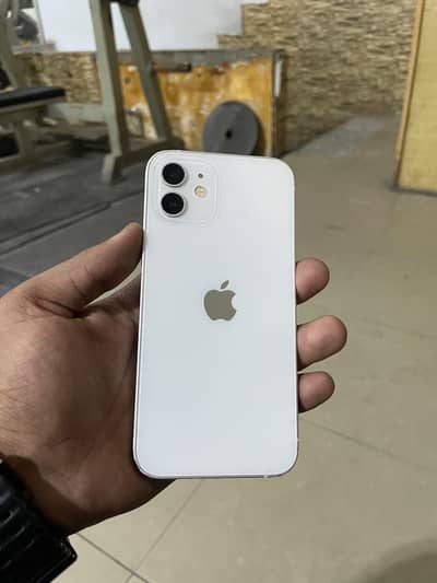iPhone 12