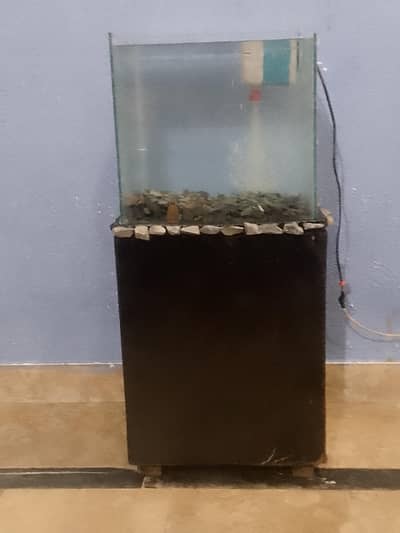 aquarium with table
