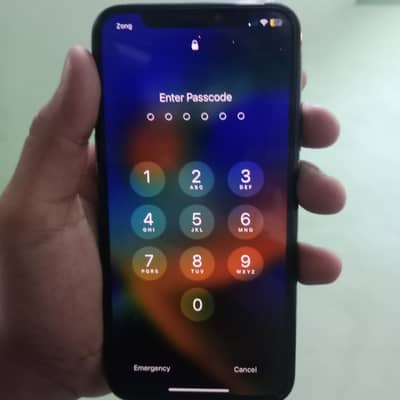 Apple iPhone X