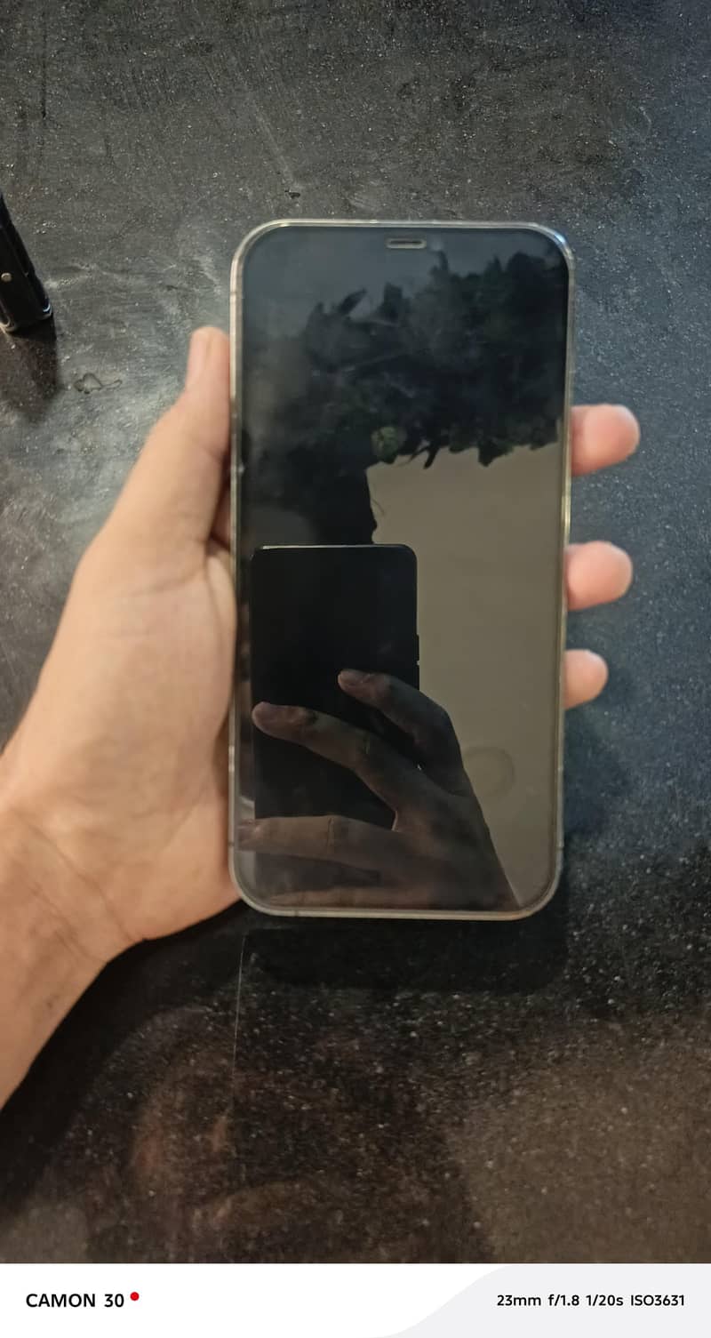 Apple iPhone 12 Pro Max 2