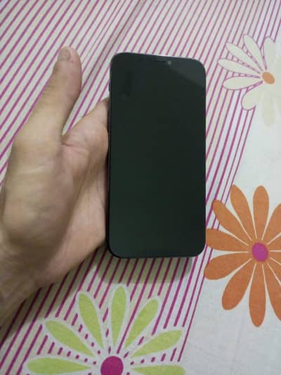 Apple iPhone 12 Pro
