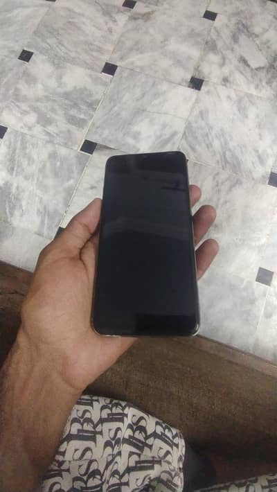 S1 vivo