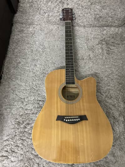 Professional guitar