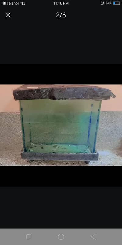 Fish Aquarium