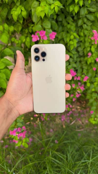 iPhone 12 Pro Max  |  256GB  |  Factory Unlock  |  exchange possible
