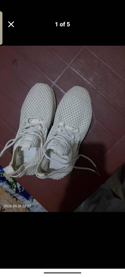 crop bull branded new shoes