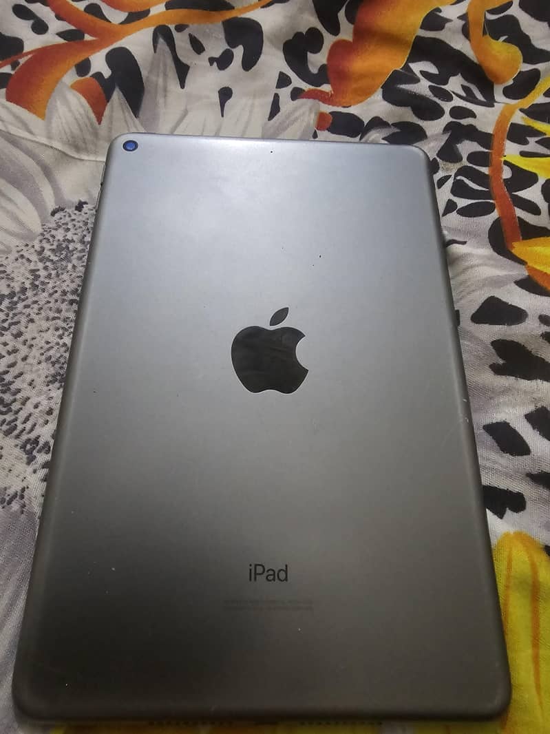 ipad mini 5 0