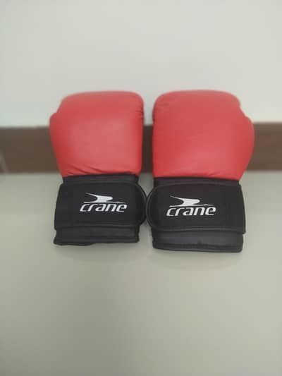 "Crane" Original 12 OZ Boxing Gloves
