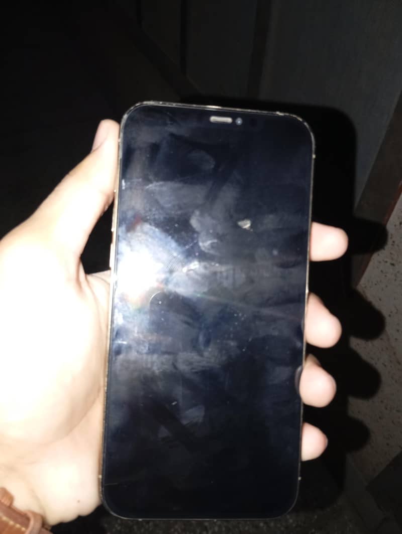 Apple iPhone 12 Pro Max 1