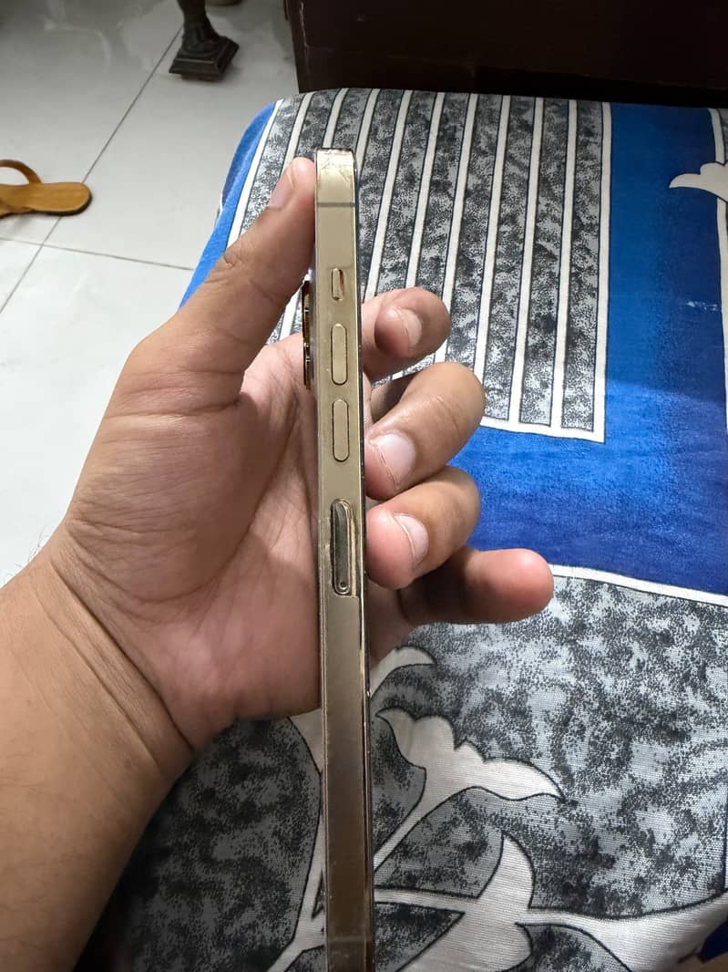 Apple iPhone 13 Pro Max 1