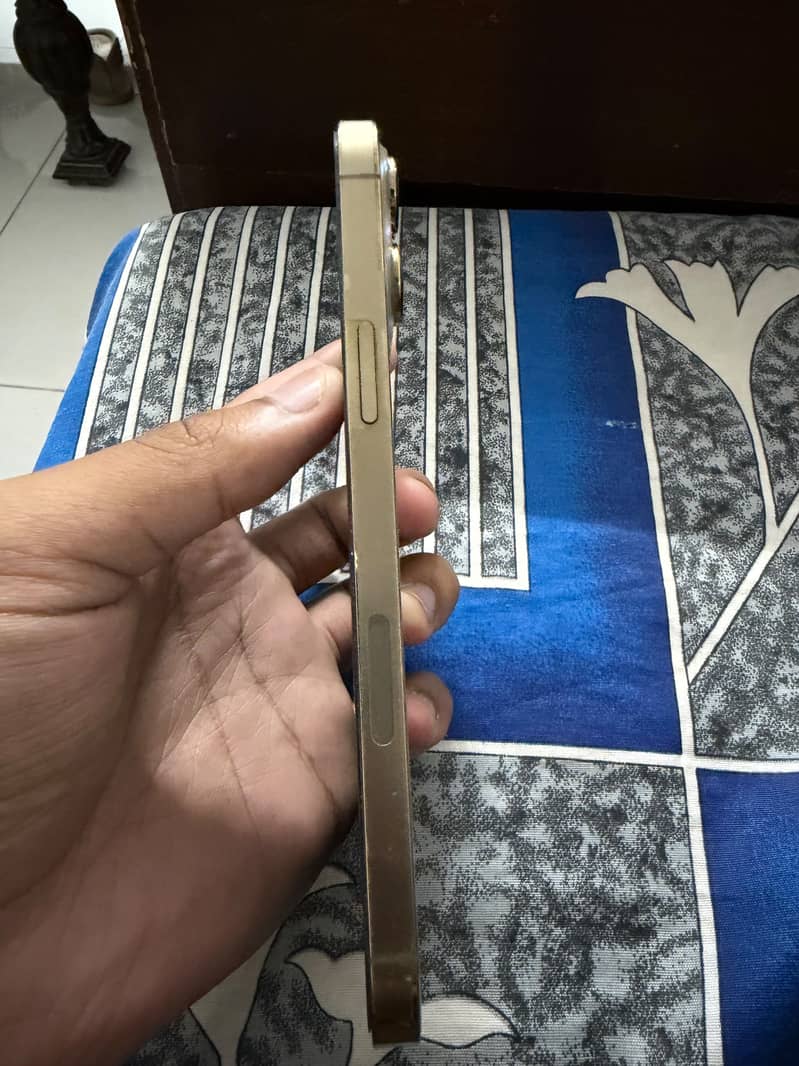 Apple iPhone 13 Pro Max 2