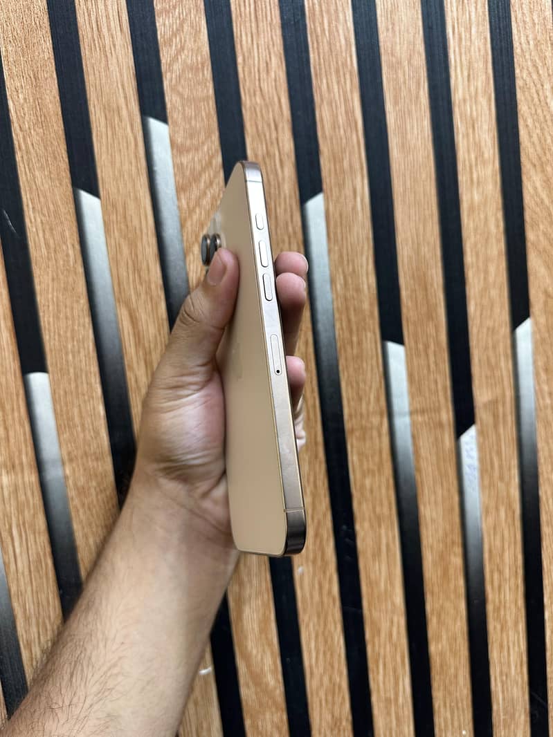 iPhone 16 Pro Max 1