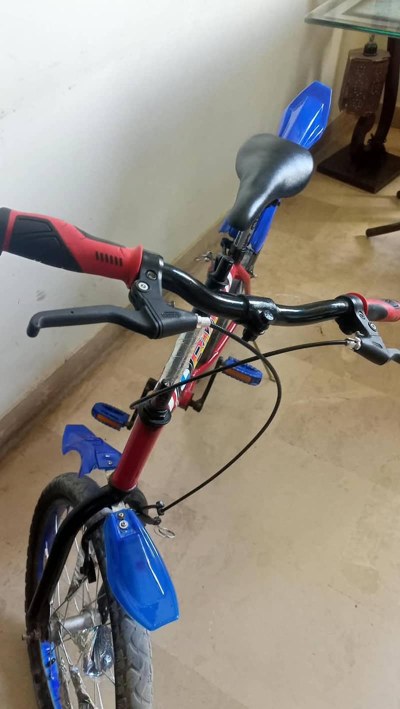 bicycle 1