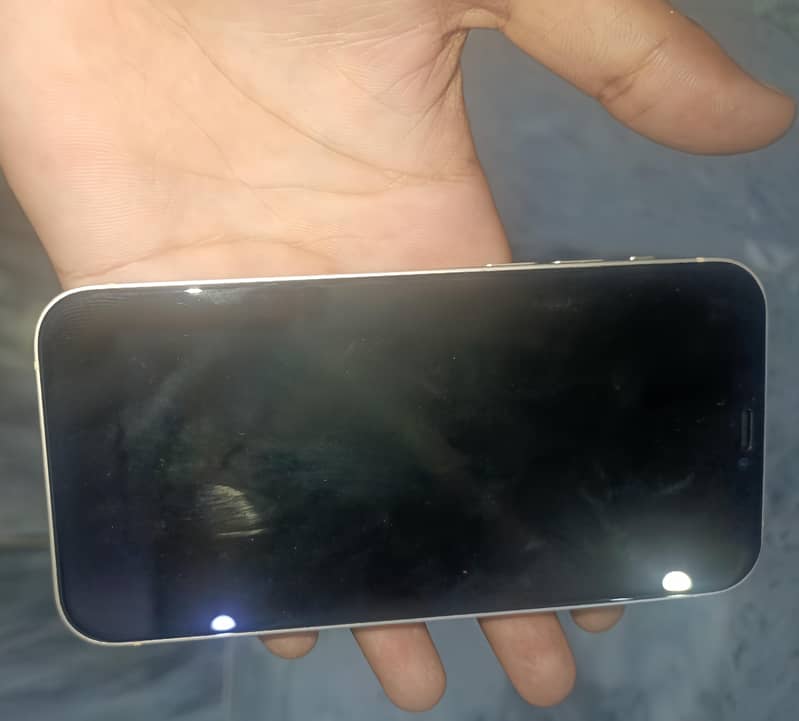 Apple iPhone 12 1