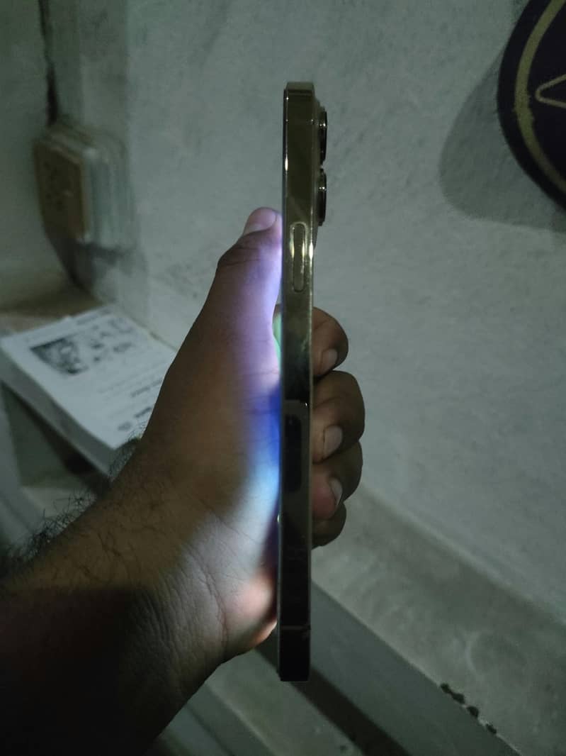 Apple iPhone 13 Pro Max 1